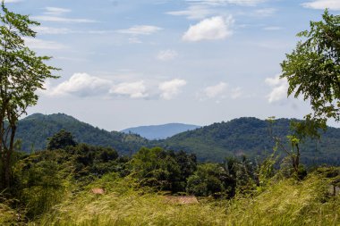 Güzel tropikal dağ manzarası yemyeşil orman, palmiye ağaçları ve Hindistan kırsalındaki bulutlu mavi gökyüzünün altındaki katmanlı tepeler..