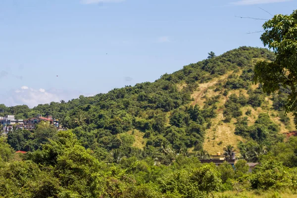 Hindistan 'ın kırsal kesimlerinde parlak bulutlu gökyüzünün altında katmanlı dağları olan yemyeşil tropikal tepeler ve palmiye ağaçları..