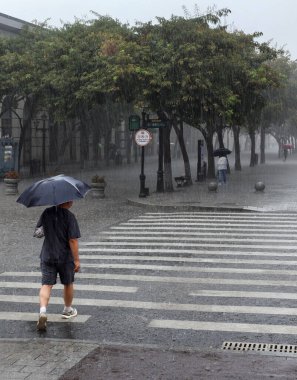 Çin 'in Harbin şehrinde yağmurlu bir gün - 10 Ağustos 2024. Yaz seyahatleri ve hava durumu. Şiddetli yaz yağmurları