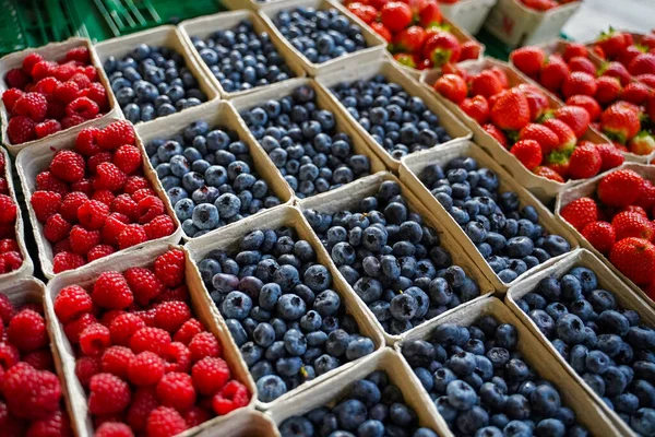 Yerel bir marketteki geri dönüşümlü kağıt tepsilerde taze yaban mersini, çilek ve ahududu. Sağlıklı taze yiyecek.
