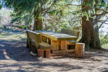 El yapımı ahşap piknik masası. Doğal kerestelerden yapılma banklar. Çevresi, huzurlu açık hava dinlenme alanındaki yemyeşil ağaçlarla çevrili.