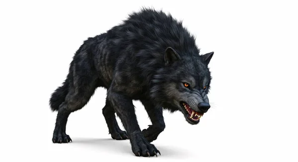 Işıldayan turuncu gözlü, yırtıcı, siyah kurt.