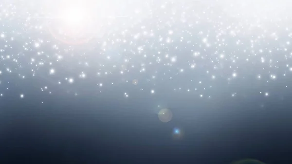 Yumuşak gölgeler ve tarafsız bir arkaplan ile temiz bir stüdyo ortamında küçük bir köpek oturmaktadır.