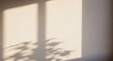 Yumuşak sabah ışığı bir pencereden süzülür bulanık bir duvara gölge düşürür