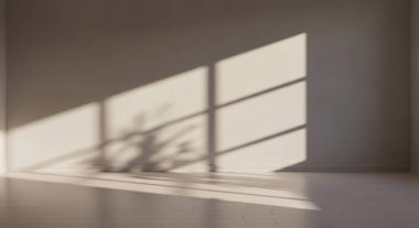 Ilık güneş ışığıyla yıkanmış, parlak boş bir oda. Yerde uzun gölgeler ve pencerenin yanında saksı bitkisi vardı..