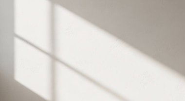 Bright scene with window shadows cast across a white wall creating a calm minimalist interior atmosphere