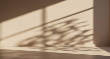 Temiz çizgiler ve yumuşak güneş ışığıyla aydınlık bir duvara yansıtılan bitki gölgesini gösteren soyut, sıcak bir sahne..