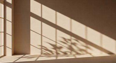 Yumuşak güneş ışığı pencereden süzülüp bej bir duvarda bitkilerin uzun gölgelerini oluşturur ve dingin bir mimari an yaratır.