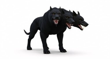 Düz beyaz bir arkaplanda iki başlı siyah köpek poz verdi..