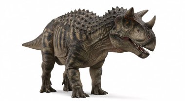 Zırhlı plakalı ve boynuzlu kafalı gerçekçi bir dinozor figürü. Gösteri ve eğitim için poz veriyor..