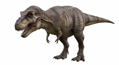 Ayrıntılı bir Tyrannosaurus Rex modeli, bilim ve eğitim için gerçekçi bir cilt, dişler ve pençelerle tarih öncesi bir ortamda yürürken profilinde tasvir edilmiştir..
