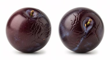 Temiz beyaz stüdyo arka planında parlak derileri olan olgun mor erikler..