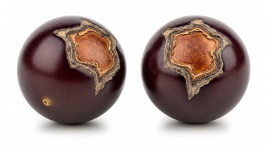 Pürüzsüz bir cilt ve beyaz bir arka planda görünür bir kaliks gösteren iki olgun mor eriğin yakın çekimi..