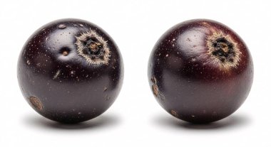 Beyaz bir zemin üzerinde iki olgun koyu mor üzüm doğal dokuyu ve derilerdeki küçük çiçekleri gösterir.