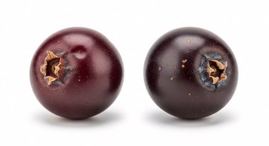 Olgunlaşmış iki mor erik beyaz bir zeminde oturur ve doğal dokuyu ve küçük lekeleri gösterir.