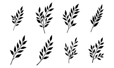 El çizimi tropikal yaprak çizgisi sanat vektörü botanik tasarımları için egzotik çizgiler çizer.