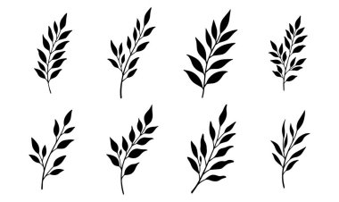 Çiçek yaprakları siluet siyah beyaz