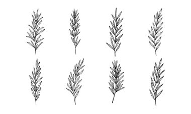 Çiçek yaprakları siluet siyah beyaz