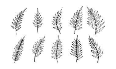 Çiçek yaprakları siluet siyah beyaz