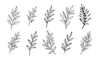 Çiçek yaprakları siluet siyah beyaz