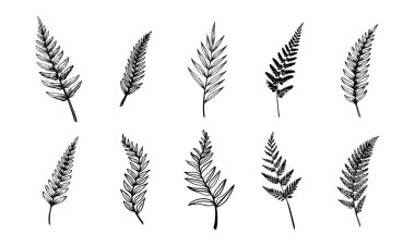 Çiçek yaprakları siluet siyah beyaz