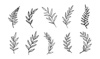 Çiçek yaprakları siluet siyah beyaz