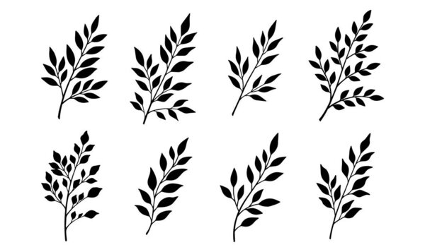 Силуэт листьев цветов чёрно-белый