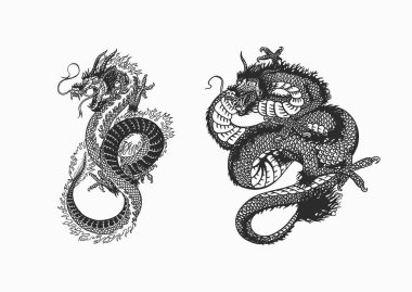 Japon ejderhası. Mitolojik hayvan ya da geleneksel Asya sürüngeni. Dövme ya da etiket sembolü. Oymalı el çizimi sanat eseri. Eski monokrom çizimi, mürekkep. Vektör illüstrasyonu.