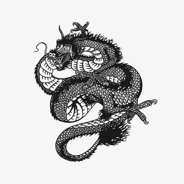 Dragon japonais. Animal mythologique ou reptile traditionnel asiatique. Symbole pour tatouage ou étiquette. Gravé à la main dessiné art de ligne Vintage vieux croquis monochrome, encre. Illustration vectorielle. — Image vectorielle