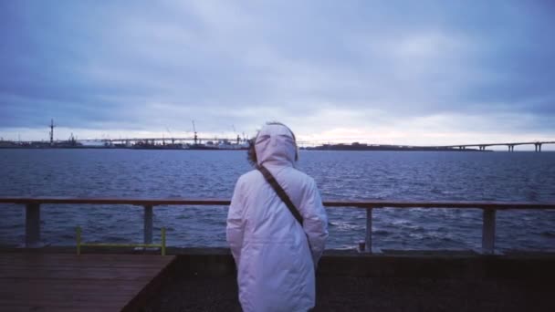 Mar Nublado Noruego. La chica está disfrutando de la vista. Paisaje marino borroso escandinavo. Paisaje dramático nublado. Hora azul — Vídeos de Stock