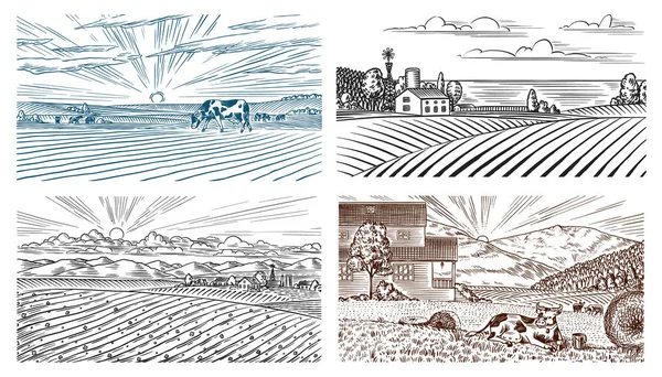 Prado rural. Uma paisagem de aldeia com vacas, colinas e uma fazenda. Vista panorâmica ensolarada do país. Desenho gravado à mão. Banner rústico vintage para sinal de madeira ou crachá ou rótulo. —  Vetores de Stock