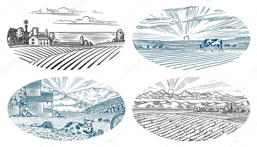 Rural meadow. Village landscape with cows, hills and a farm. Sunny scenic view. Hand drawn engraved sketch. Vintage banner for wooden sign or badge or label. Vector illustration