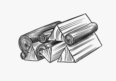 Odun ya da odun. Ağaç parçası. Kalas ve kütük, kereste ve kesim, eski usul yakacak odun. Tabela, etiket, logo ya da afiş için vektör yanılsaması. Kamp ateşi malzemesi. Oymalı El çizimi.