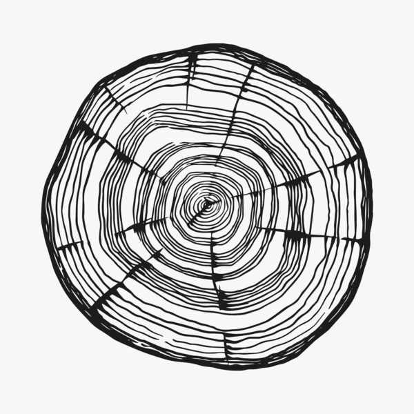 Tahta ya da testere kesiği. Ağaç parçası. Kalas ve kütük, kereste ya da eski usul yakacak odun. Tabela, etiket, logo ya da afiş için vektör yanılsaması. Kamp ateşi malzemesi. Oymalı El çizimi.
