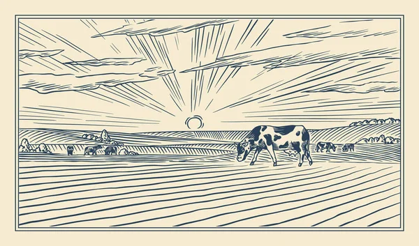 Pradera rural. Un paisaje de pueblo con vacas, colinas y una granja. Vista panorámica soleada del país. Dibujo grabado a mano. Banner rústico vintage para letrero de madera o insignia o etiqueta. — Vector de stock