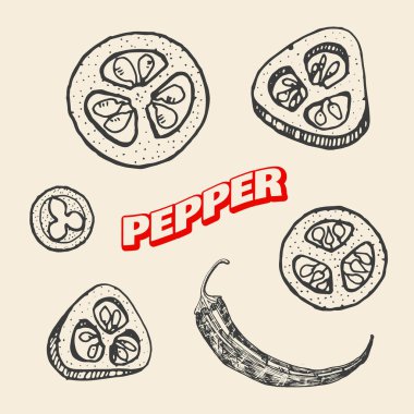 Kırmızı kırmızı kırmızı biber, klasik tarzda. Salata malzemeleri. Çiftlik sebzesi. Vektör çizimi. Elle çizilmiş retro çizim. Doodle tarzı