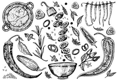 Kırmızı kırmızı kırmızı biber, klasik tarzda. Salata malzemeleri. Çiftlik sebzesi. Vektör çizimi. Elle çizilmiş retro çizim. Doodle tarzı