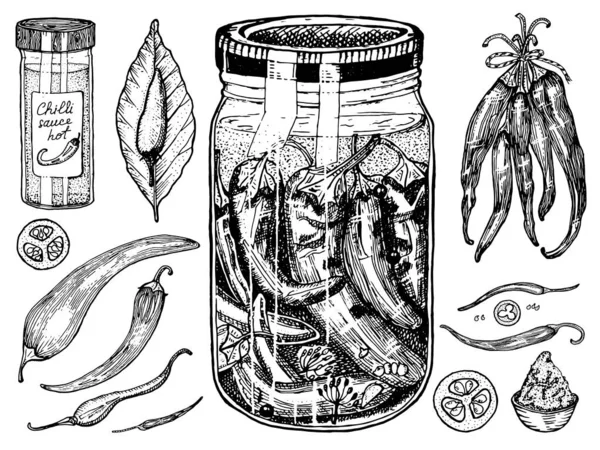 Rote Chilischoten und Glasgefäße im Vintage-Stil. Salatzutaten. Bauerngemüse. Vektorillustration. Handgezeichnete gestochene Retro-Skizze. Doodle-Stil — Stockvektor