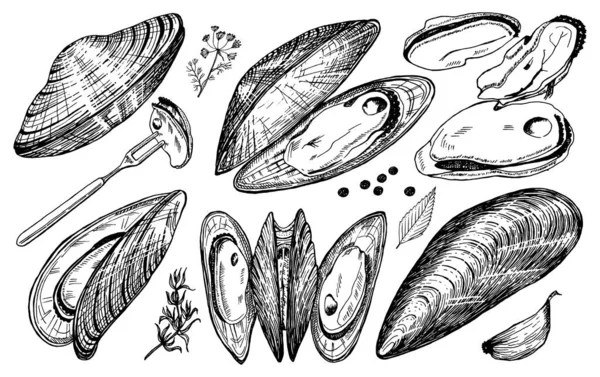 Mejillones de mar de estilo retro vintage. Moluscos náuticos. Comida marina. Ilustración vectorial. Dibujo retro grabado a mano. Antiguo estilo monocromo antiguo. — Archivo Imágenes Vectoriales