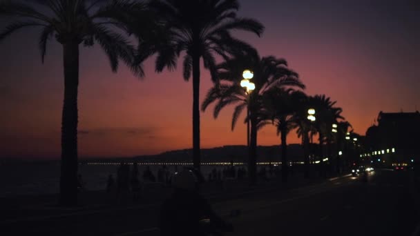 Palms and car traffic on the road in Nice, France. Silhouette of tropical plants in southern Europe. Romantic background. Red purple sunset. Clip for social media or travel blog — Stock Video