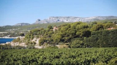 Dik yanlamasına vadi. Calanque dEn-Vau. Kaptan Canaille ve Azure Denizi. Yaz manzarası. Güney Fransa. Kayalıklar ve kayalar. Destansı görünüm.
