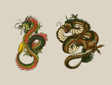Japon ejderhası. Mitolojik hayvan ya da geleneksel Asya sürüngeni. Dövme ya da etiket sembolü. Oymalı el çizimi sanat eseri. Eski monokrom çizimi, mürekkep. Vektör illüstrasyonu.