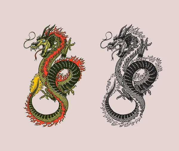Японский дракон Мифологическое животное или азиатская традиционная рептилия. Символ татуировки или ярлыка. Гравированный ручной рисунок Винтажный старый монохромный эскиз, чернила. Векторная иллюстрация. — стоковый вектор