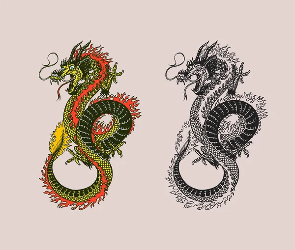 Japansk drake. Mytologiska djur eller asiatisk traditionell reptil. Symbol för tatuering eller etikett. Graverad handritad linjekonst Vintage gammal monokrom skiss, bläck. Vektorillustration. — Stock vektor