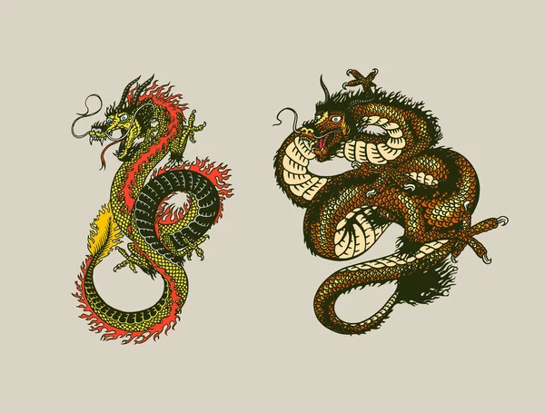 Japon ejderhası. Mitolojik hayvan ya da geleneksel Asya sürüngeni. Dövme ya da etiket sembolü. Oymalı el çizimi sanat eseri. Eski monokrom çizimi, mürekkep. Vektör illüstrasyonu.