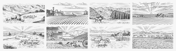 Conjunto prado rural. Un paisaje de pueblo con vacas, cabras y cordero, colinas y una granja. Vista panorámica soleada del país. Dibujo grabado a mano. Banner rústico vintage para letrero de madera o insignia o etiqueta. — Archivo Imágenes Vectoriales