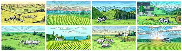 Ensemble de prairies rurales. Paysage villageois avec vaches, chèvres et agneau, collines et ferme. Vue panoramique sur la campagne ensoleillée. Croquis gravé à la main. Bannière rustique vintage pour enseigne, badge ou étiquette en bois. — Image vectorielle