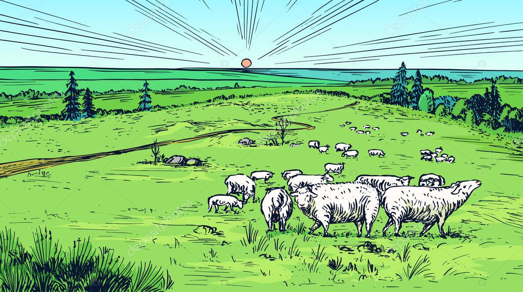 Rural meadow. Village landscape with cows, hills and a farm. Sunny scenic view. Hand drawn engraved sketch. Vintage banner for wooden sign or badge or label. Vector illustration