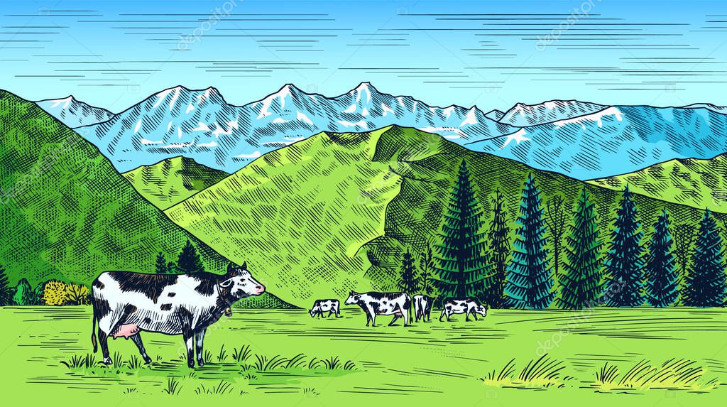 Rural meadow. Village landscape with cows, hills and a farm. Sunny scenic view. Hand drawn engraved sketch. Vintage banner for wooden sign or badge or label. Vector illustration