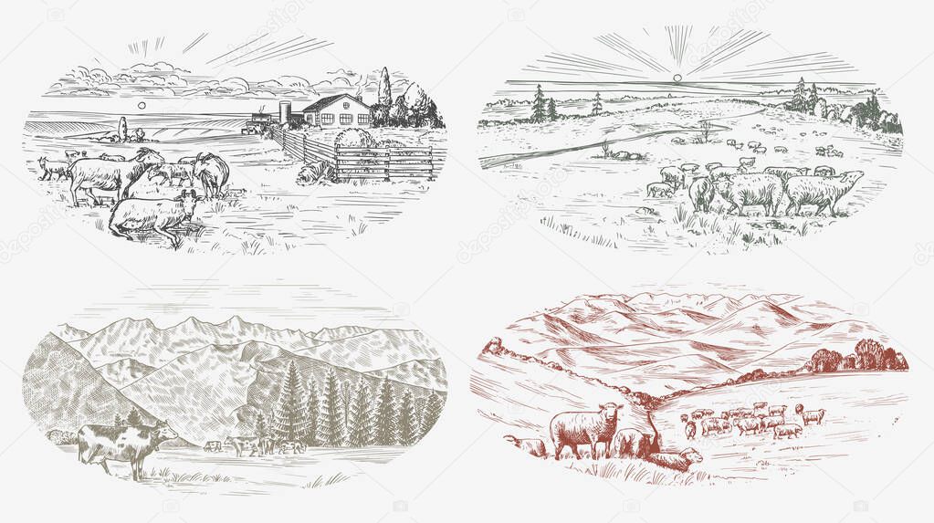 Rural meadow set. A village landscape with sheep, hills and a farm. Sunny scenic country view. Hand drawn engraved sketch. Vintage rustic banner for wooden sign or badge or label.